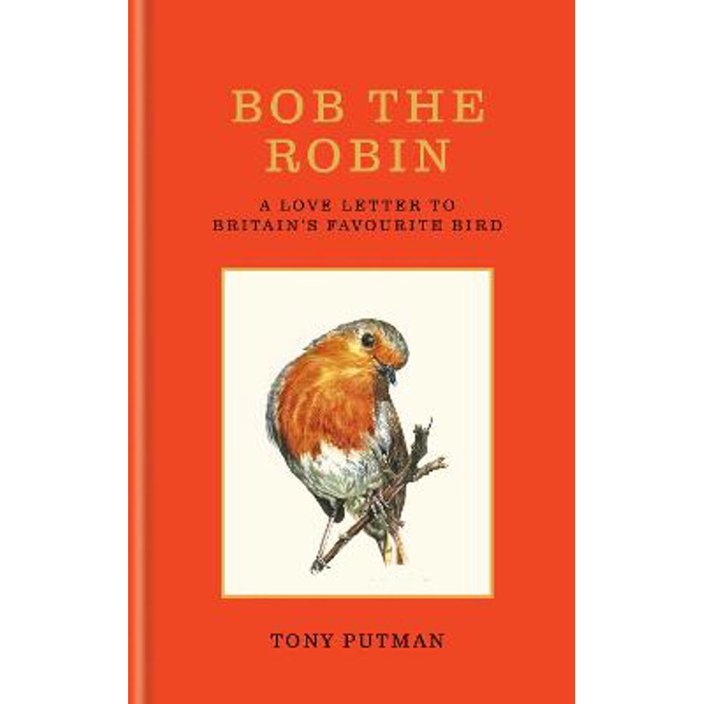 Bob the Robin: A love letter to Britain's favourite bird (Hardback) - Tony Putman